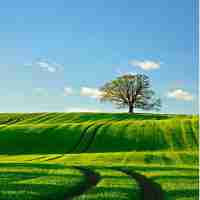 精‍准‌数﻿据﻿挖‍掘​系﻿统﻿